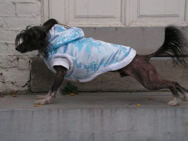 PICT0501.jpg