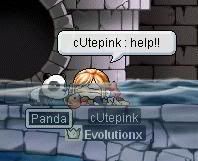 Image hosting by Photobucket