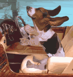 doggiedrive