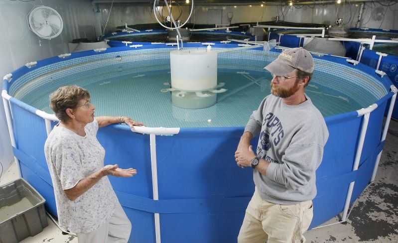  for fish keeping? - Page 2 - AQUACULTURE SYSTEMS - Aquaponics Nation
