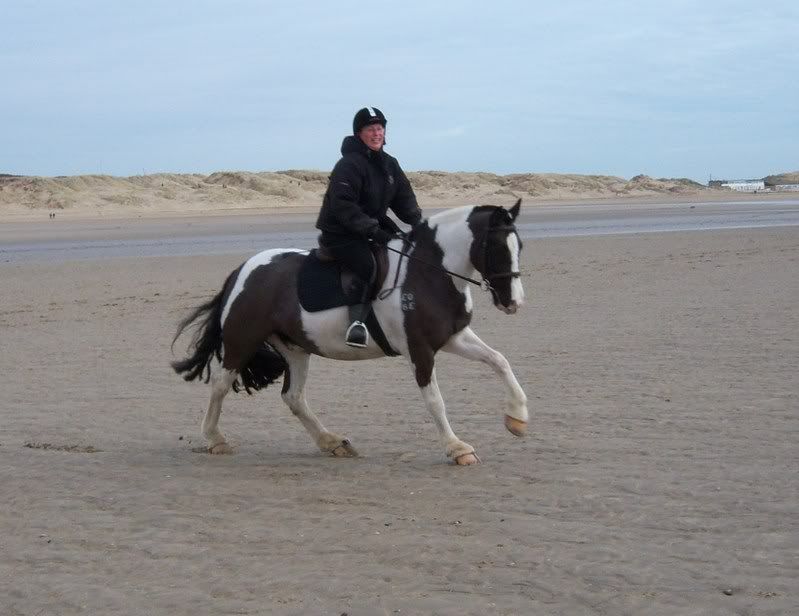 Best saddle for short coupled horse?