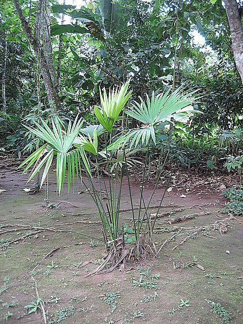IMG_0154.jpg