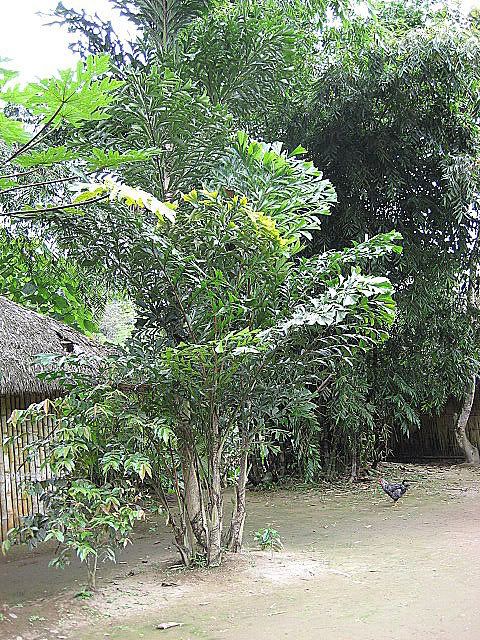 IMG_0161.jpg