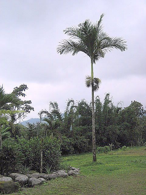 IMG_0175.jpg