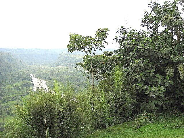 IMG_0179.jpg