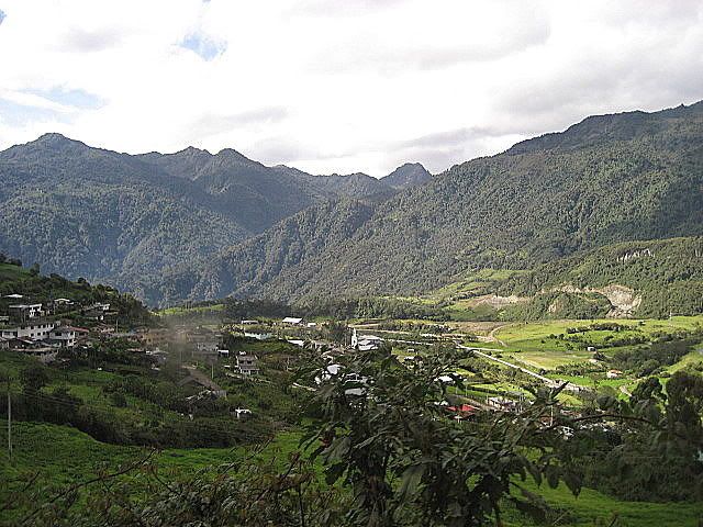 IMG_0203.jpg