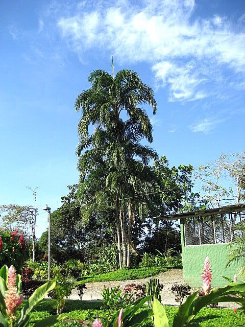 IMG_0258.jpg