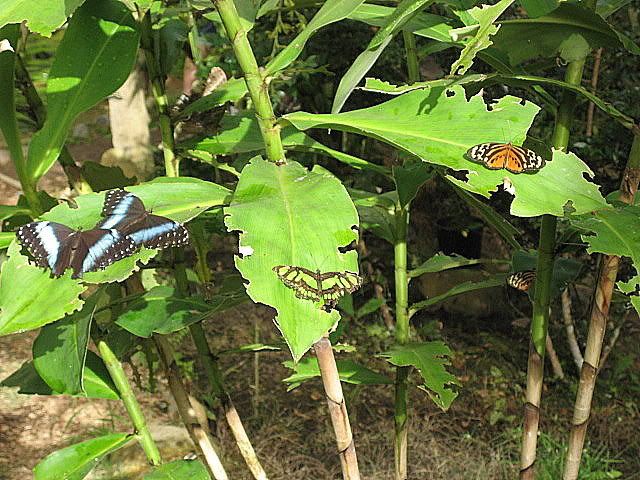 IMG_0300.jpg
