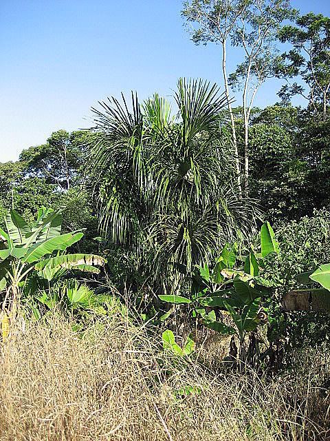 IMG_0307.jpg