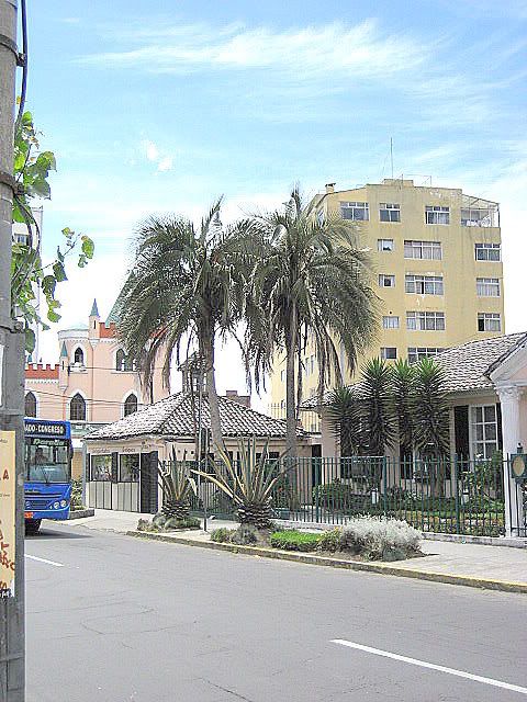 IMG_0368.jpg