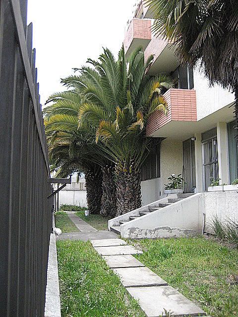 IMG_0369.jpg