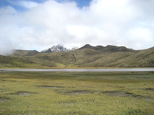 IMG_0390.jpg