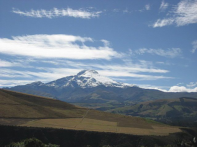 IMG_0421.jpg