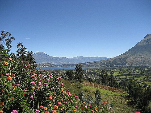 IMG_0433.jpg