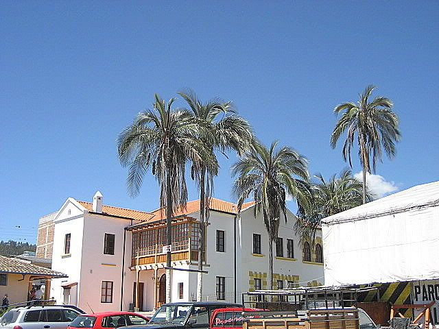 IMG_0443.jpg