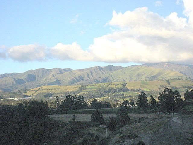 IMG_0474.jpg