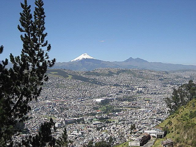 IMG_0520.jpg