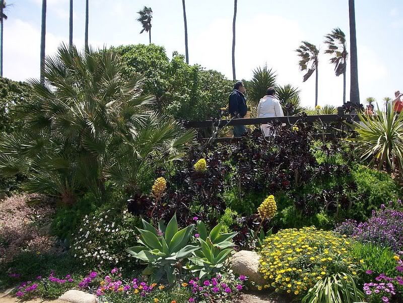 succulents.jpg