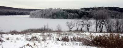Long view of wet trees at Glendale Lake covered with snow.