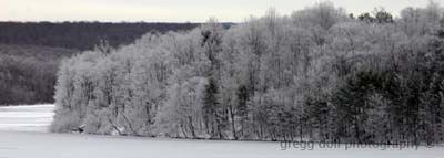 Close up of wet trees at Glendale Lake covered with snow.