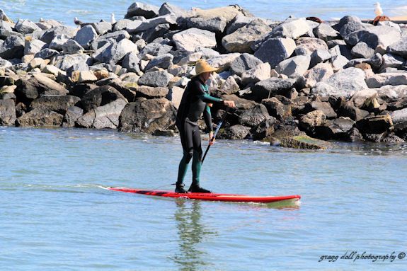  photo IMG_0941BoardPaddler_zps351367ff.jpg