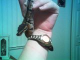 BallPython2.jpg image by ashnicwal
