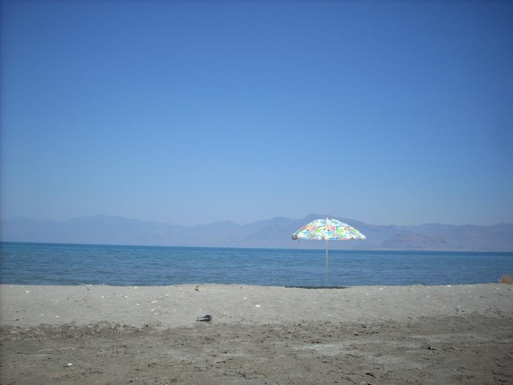 DSCN0810.jpg