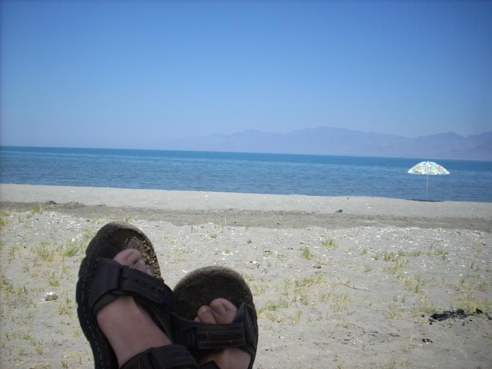 DSCN0818.jpg