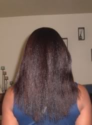 2006_0219HairHair0014-vi.jpg