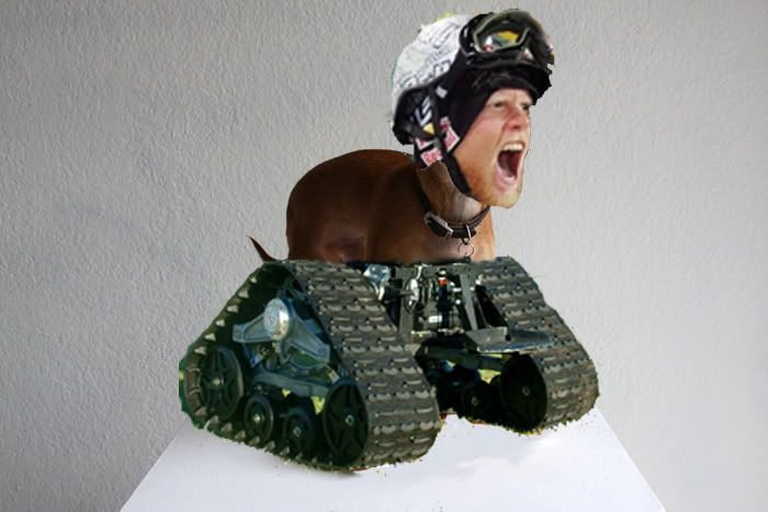 tannerdogtank.jpg