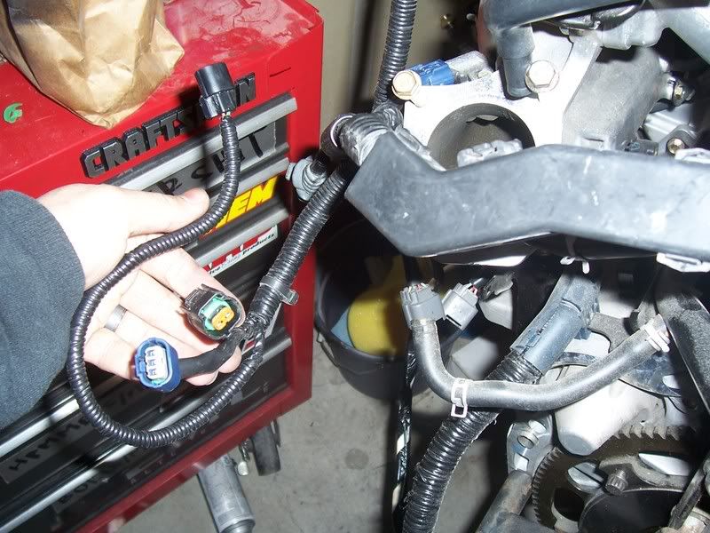 K20 engine harness on k24a2 questions (pics inside) .. The