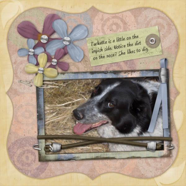 merkeleyd_dusty_friends_album_im-1.jpg