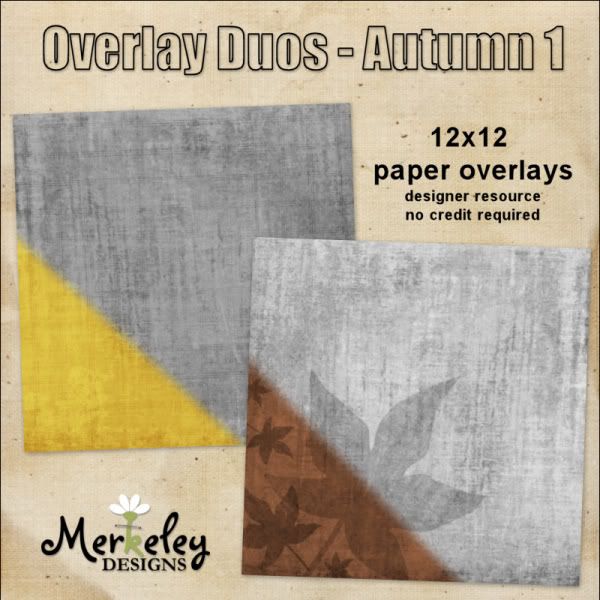 merkeleyd_overlayduos_autumn1_image.jpg
