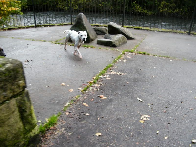 DSCF2805.jpg