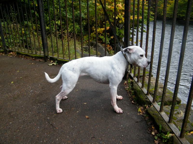 DSCF2809.jpg