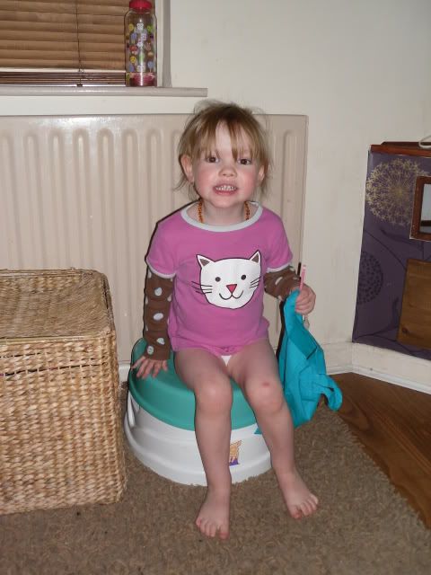  Best Tricks That Makes Potty Training Easy %@ Potty pads training