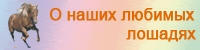 О наших любимых лошадях