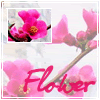 http://i11.photobucket.com/albums/a175/Chaika92/aviki/av_flowers_for_mum.gif
