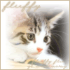 http://i11.photobucket.com/albums/a175/Chaika92/aviki/kitten_7.gif