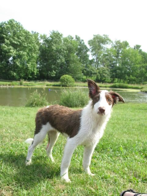 Sugarbush Farm