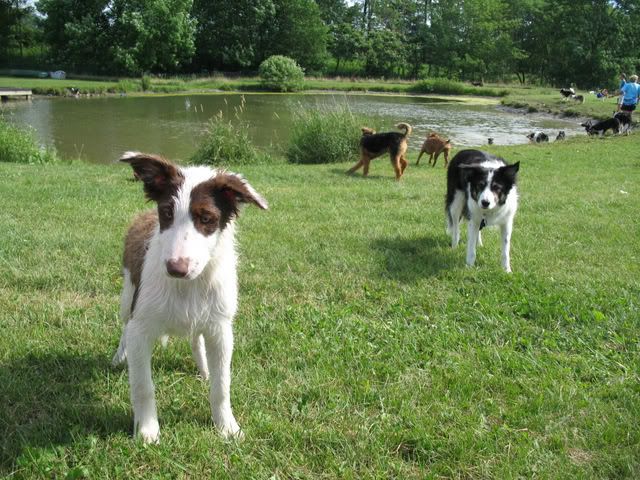 Sugarbush Farm