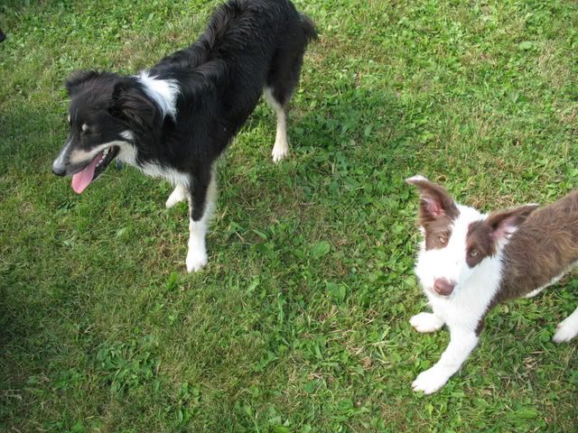 Sugarbush Farm