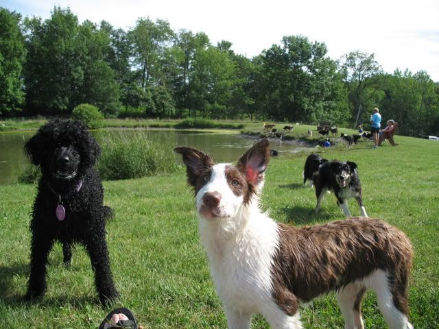 Sugarbush Farm