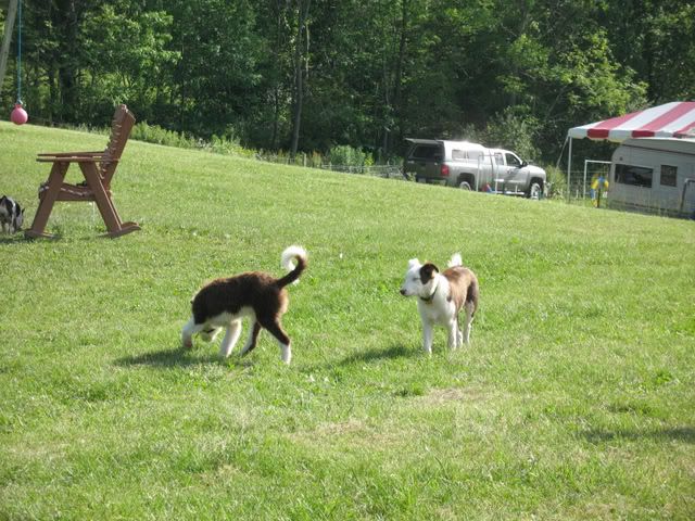 Sugarbush Farm