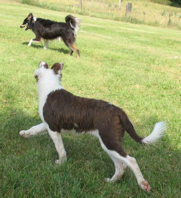 Sugarbush Farm