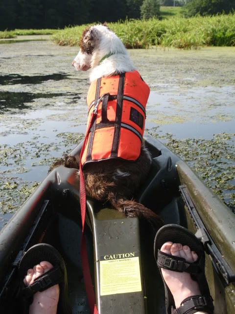 Kayak,Carter's Pond,Dahlia
