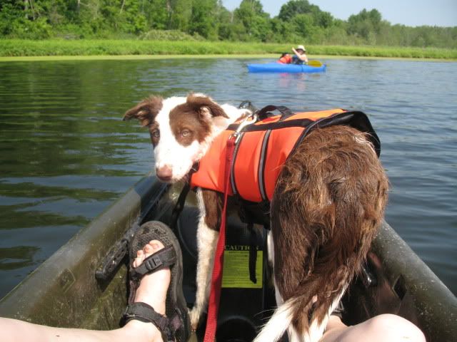 Kayak,Carter's Pond,Dahlia