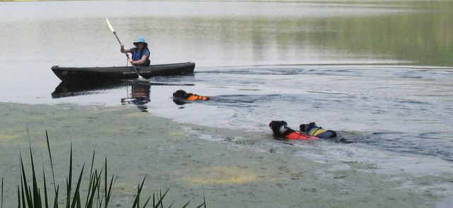 kayaking