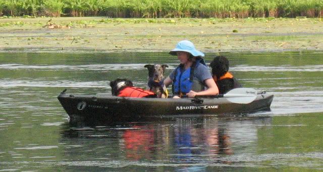 kayaking