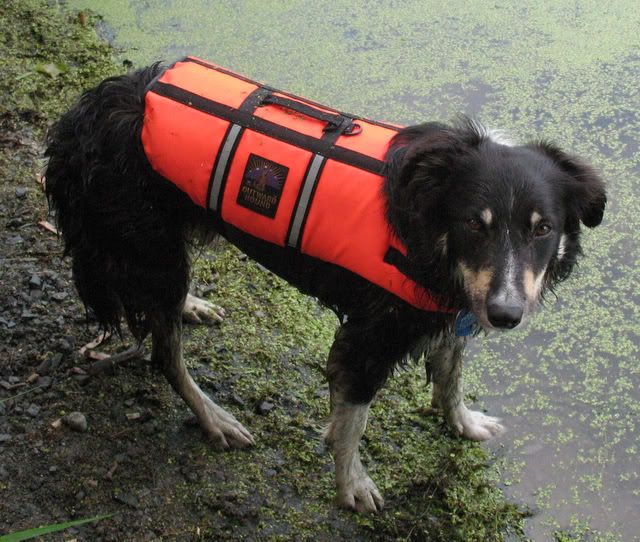 kayaking